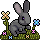 Grey Bunny
