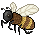 Harvesting Honey
