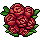 Rosas
