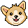 Corgi
