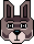 Bunny I
