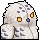 Owl Plush
