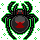 Rare Back Spider
