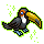 Pet Toucan