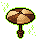 Jungle Parasol
