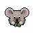 Koala Badge
