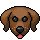 Pack Habitat du chiot
