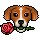 Habbofever maandbadge juni
