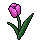HabboFeeling: Blooming Bussiness I
