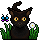 HabboFeeling: Internationaal Kattendag!
