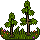Habbos des Waldes 1
