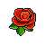 Red Rose Badge
