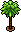 Palm Tree