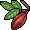 br_c25_cocoatree name