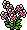 br_c25_orchids name