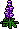 Princly Purple Lupine