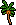 Desert Palm Tree