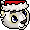 neopets_c25_kougraxmas name