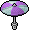 Violet Parasol