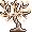 stellar_r23_startree name