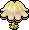 Florist Parasol